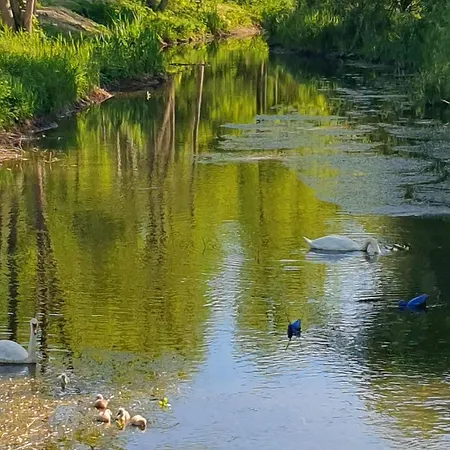 Am Silbersee 度假居 *