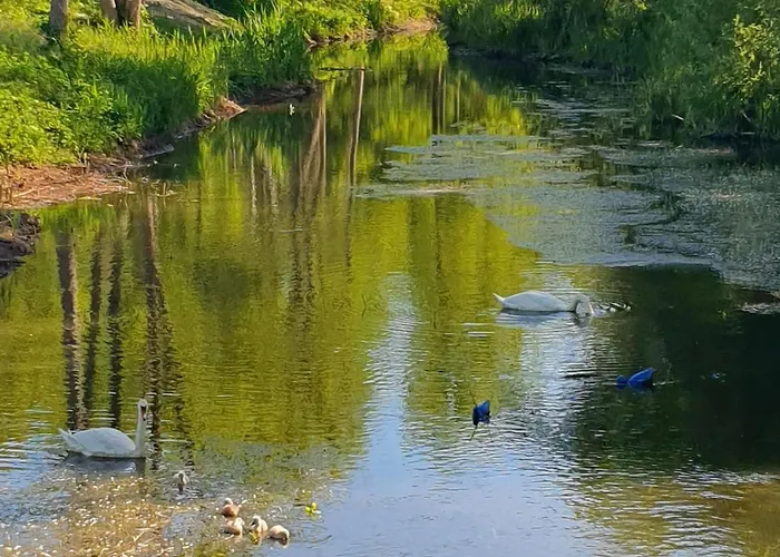 Am Silbersee Semesterbostad *